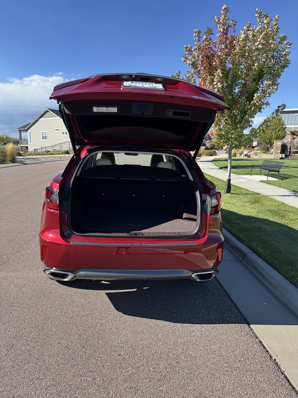 Lexus RX 350 cargo area with the liftgate open